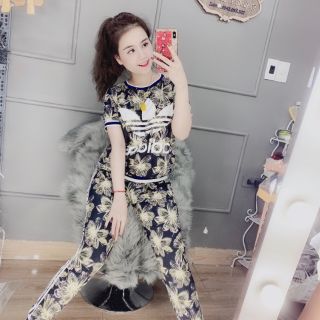 Bộ thun lạnh 3d hàng qc