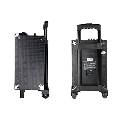 Loa kéo Temeisheng Q8  tặng kèm 2  mic