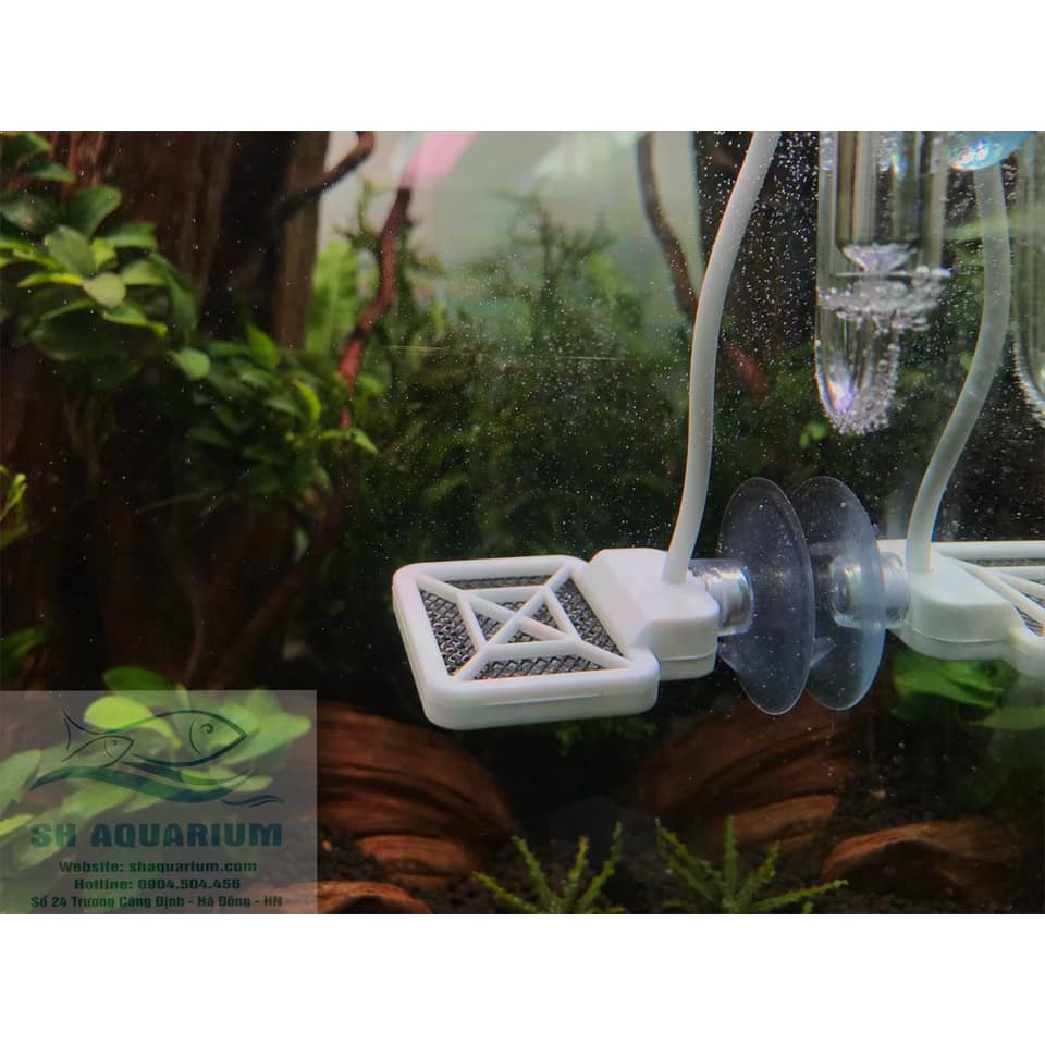 Thiết bị ức chế rêu hại Chihiros Doctor Mate