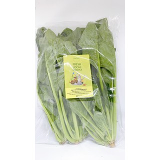 CẢI BÓ XÔI (SPINACH)