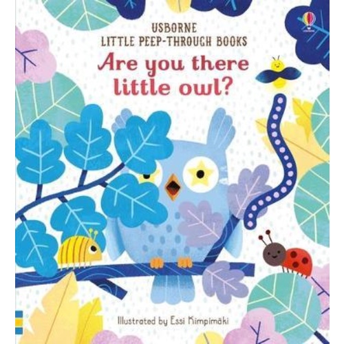 Sách Usborne tương tác sờ chạm - Baby's very first touchy-feely Colours Play Book