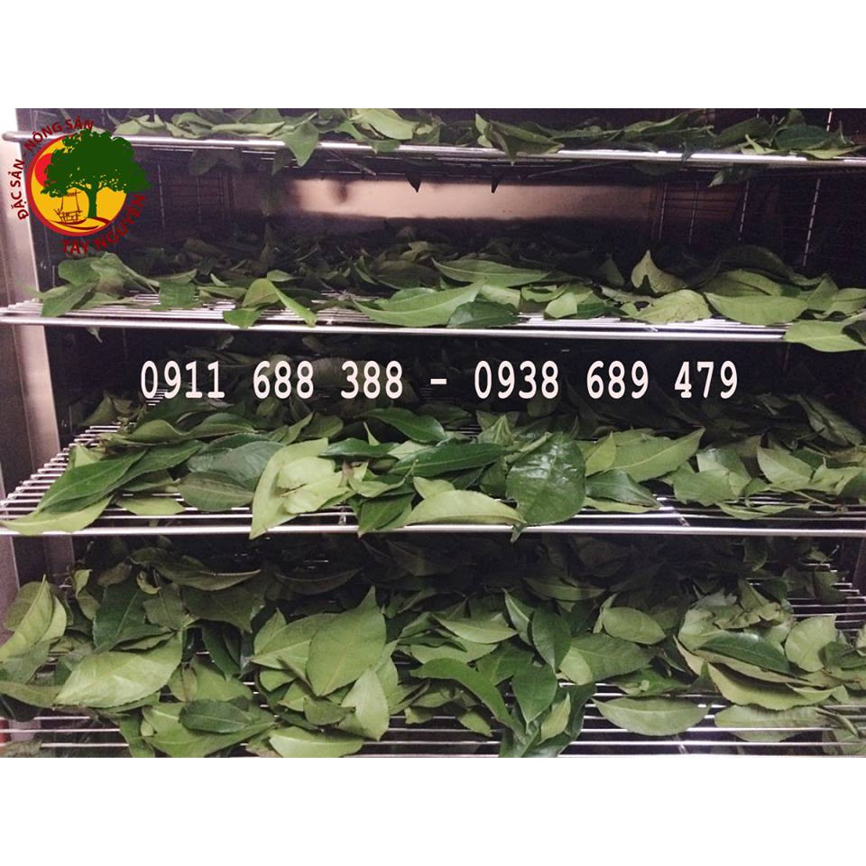 BỘT TRÀ XANH RẪY KON TUM 200GR