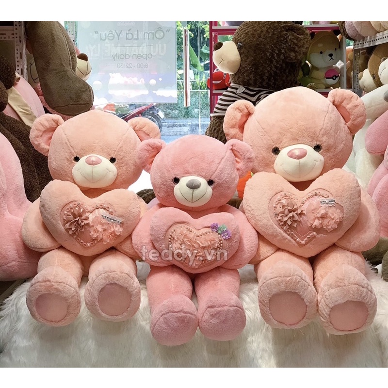 Gấu bông Teddy ôm hoa siêu yêu, teddy cao cấp