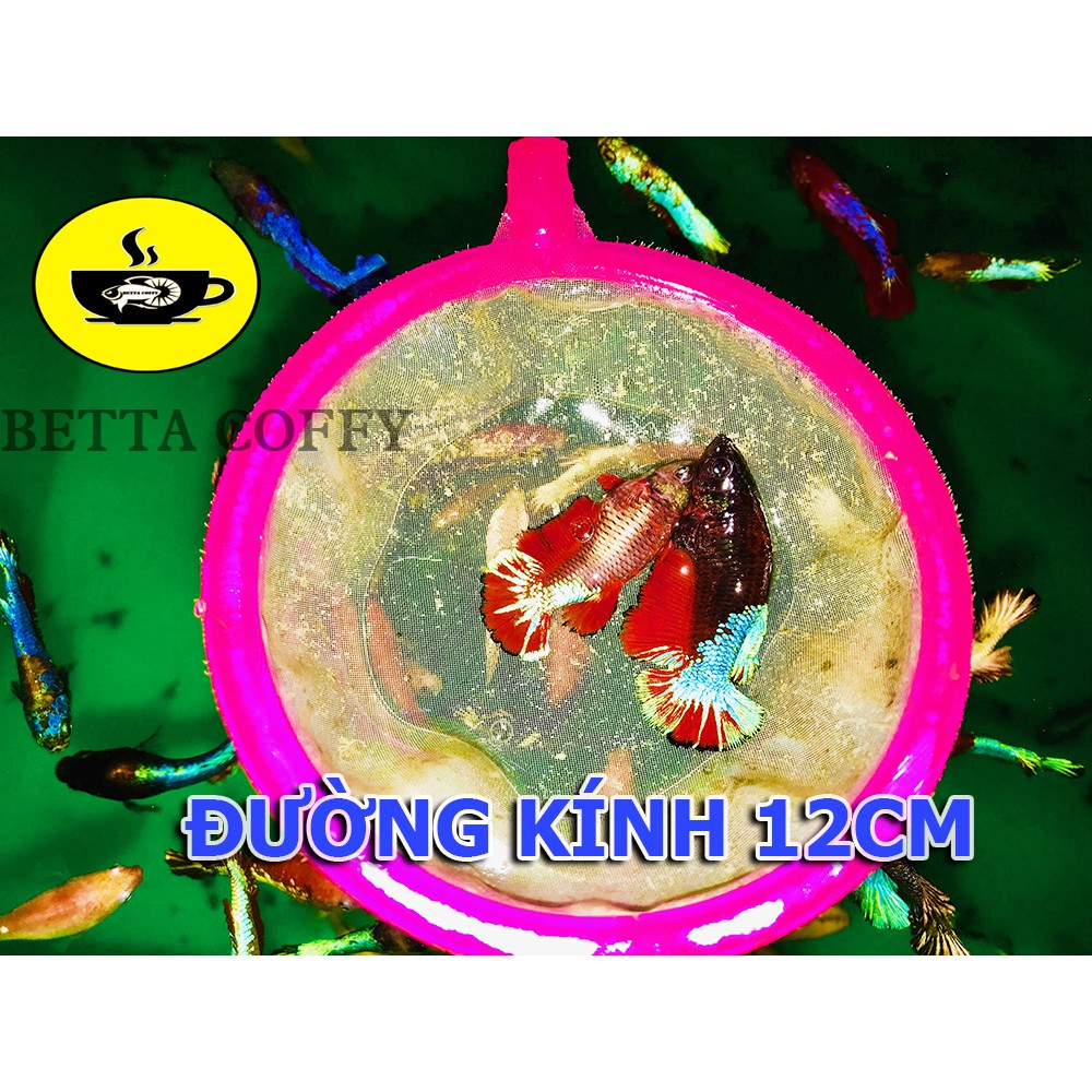 Combo Vợt Lọc Vỏ Trứng Artemia - BETTA COFFY - XEM KĨ PHÂN LOẠI