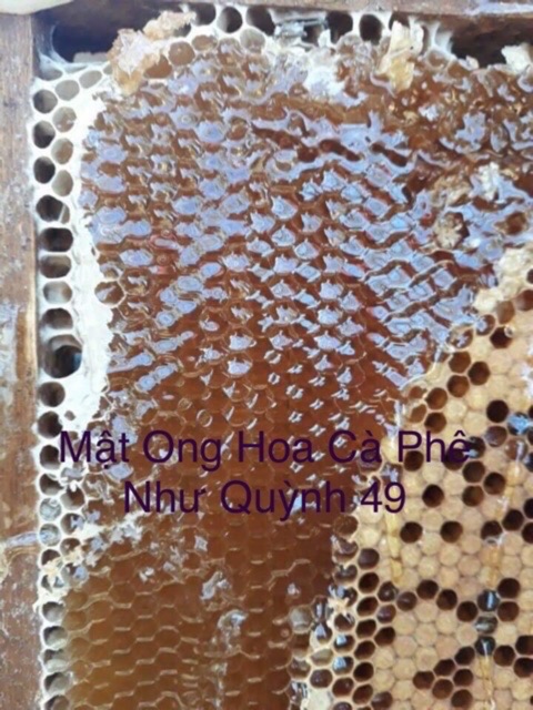 Mật Ong Nguyên Chất Hoa Cà Phê Bảo Lộc 1 Lít
