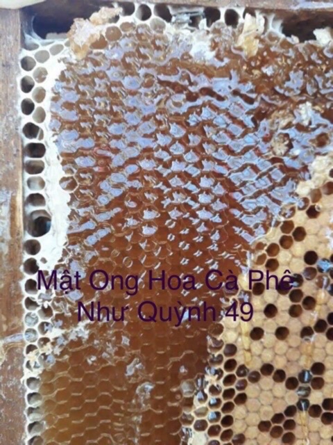 Mật Ong Nguyên Chất Hoa Cà Phê Bảo Lộc 1 Lít (Như Quỳnh 49)