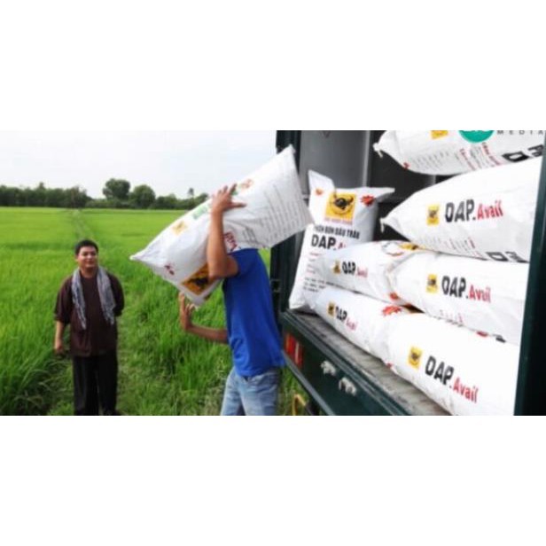 Phân Bón DAP giúp ra rễ, đâm chồi, lá xanh.