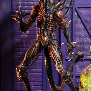 Mô hình Neca Scorpion Alien
