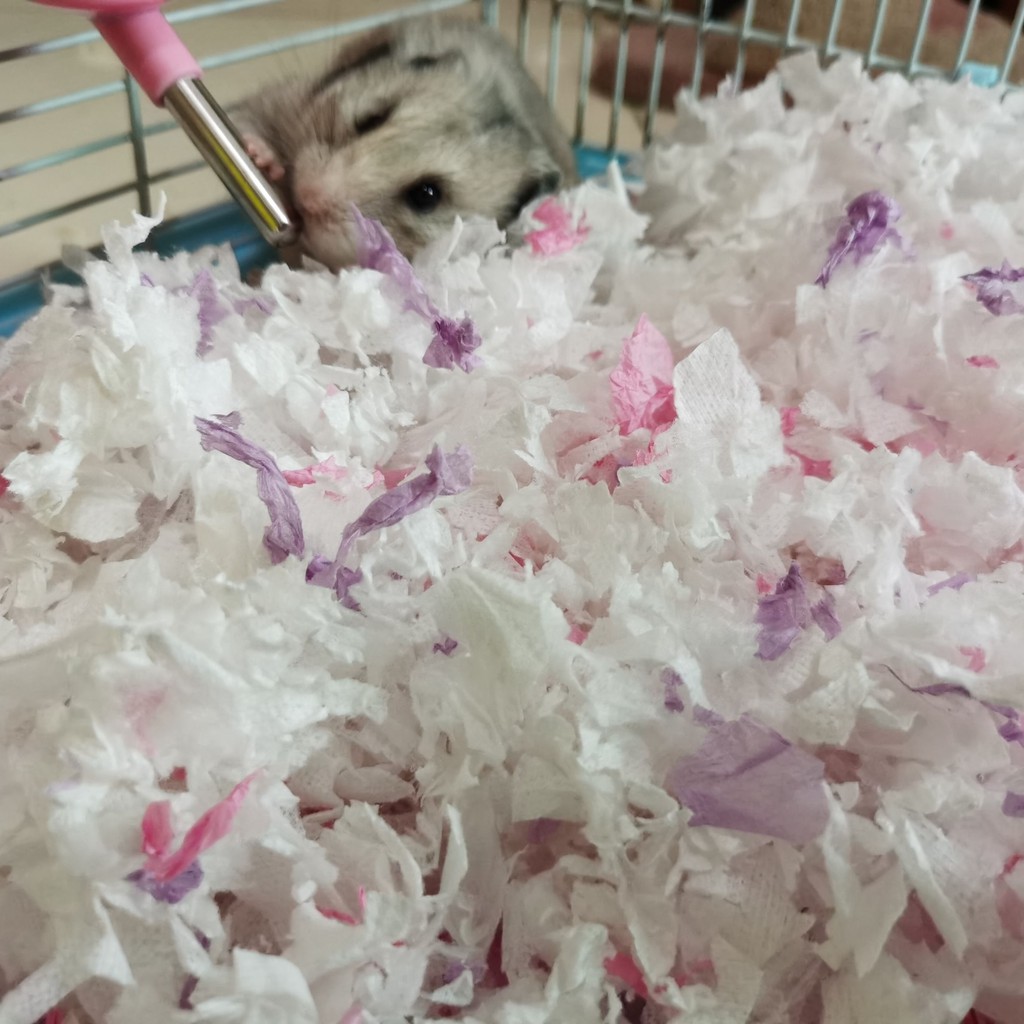 Giấy hamster bông lụa vàng không bụi bẩn gấu khử mùi mùn cưa màu lót vật dụng ấm mùa đông