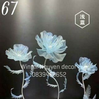Ống nhựa 2cm combo 68m