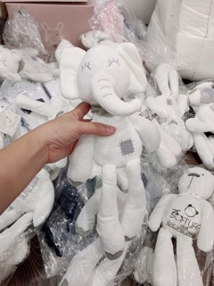 Voi con trắng