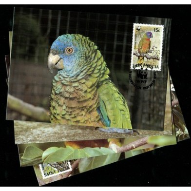 Tem sưu tập Maxicard Chim Vẹt Saint Lucia 1987
