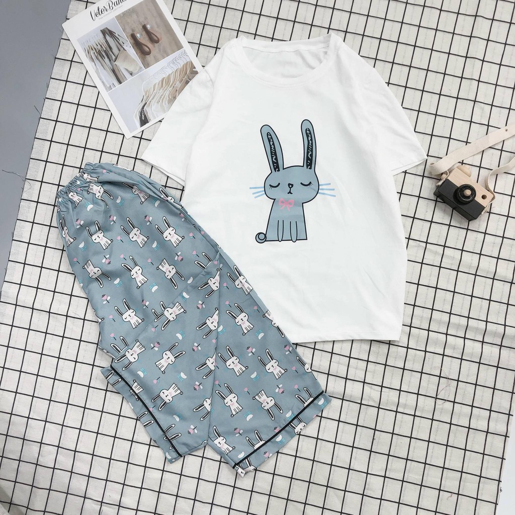 [Mã WASKT304 giảm 15% tối đa 30K đơn 99K] Bộ ngủ lửng áo cotton quần kate họa tiết đáng yêu Rosara | BigBuy360 - bigbuy360.vn