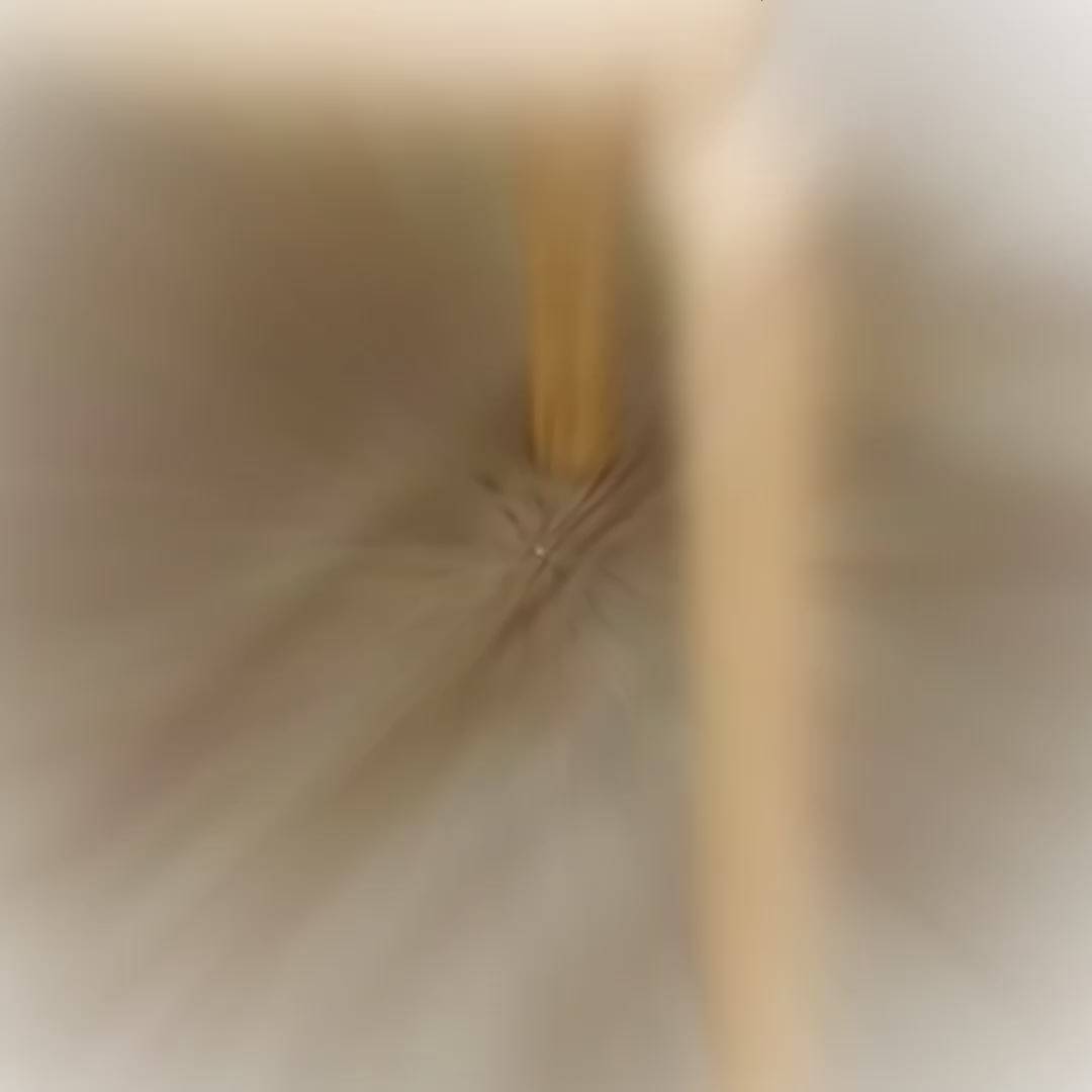 Ghế đôn gỗ phong cách Ikea Scandinavi gỗ uốn cong PlyConcept Quata Chair - Plywood cao su màu gỗ | BigBuy360 - bigbuy360.vn