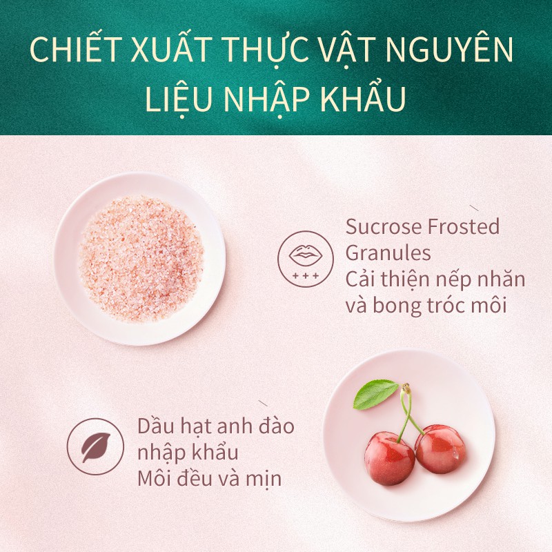 SOONPURE Lip Scrub Exfoliating Wrinkle 5g | BigBuy360 - bigbuy360.vn