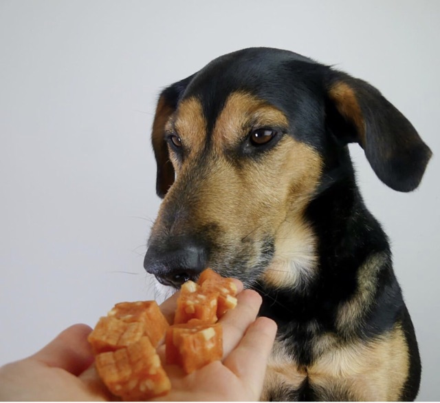 [𝐂𝐎𝐃𝐄𝟏𝟓% 𝐘𝐔𝐏𝐏𝐘𝐍𝐘] Rinti Treat training viên cheese và gà cho chó