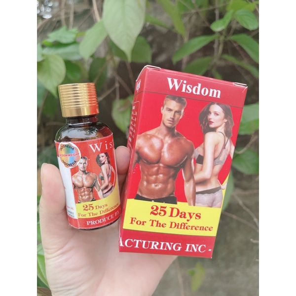 Tăng Cân Wisdom Weight Chính Hãng