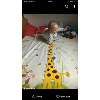 ga chống thấm cotton