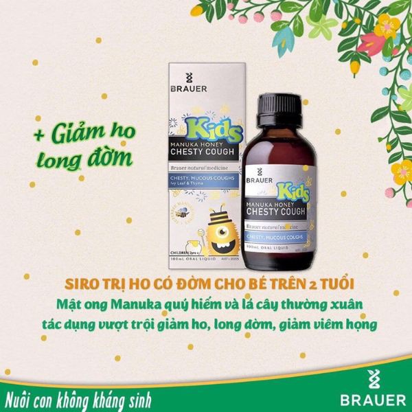 Brauer Chesty Cough siro ho cho bé từ 2 tuổi