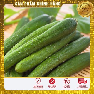 Hạt Giống Dưa Leo Thái(30-35 hạt)