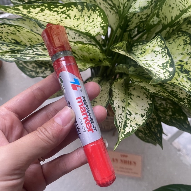 Bút Lông Dầu PM-09 Thiên Long