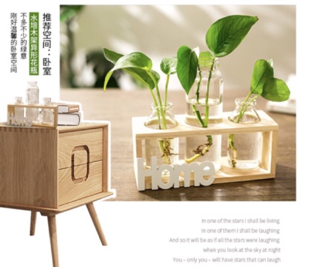 Kệ chữ home kèm bình thủy sinh siêu đẹp