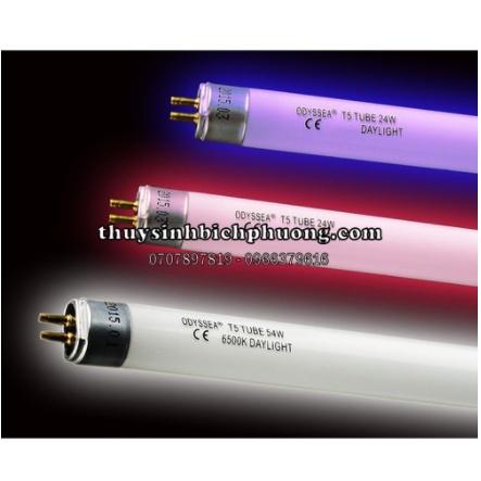 BÓNG ĐÈN ODYSSEA T5H0 6500K VÀ 10000K CHO HỒ THỦY SINH