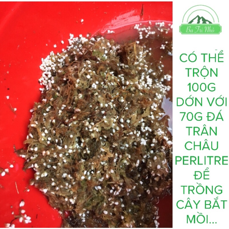 Dớn trắng dớn khô dớn mềm dớn Việt Nam rêu sphagnum giá thể chuyên dụng trồng cây ăn thịt cây bắt mồi 100g | Ba Tri Nhỏ
