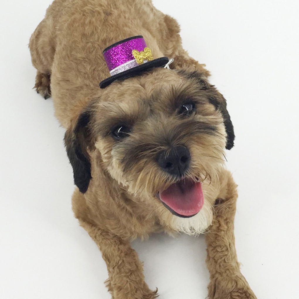 Kẹp tóc mũ tròn vành mini cho chó mèo