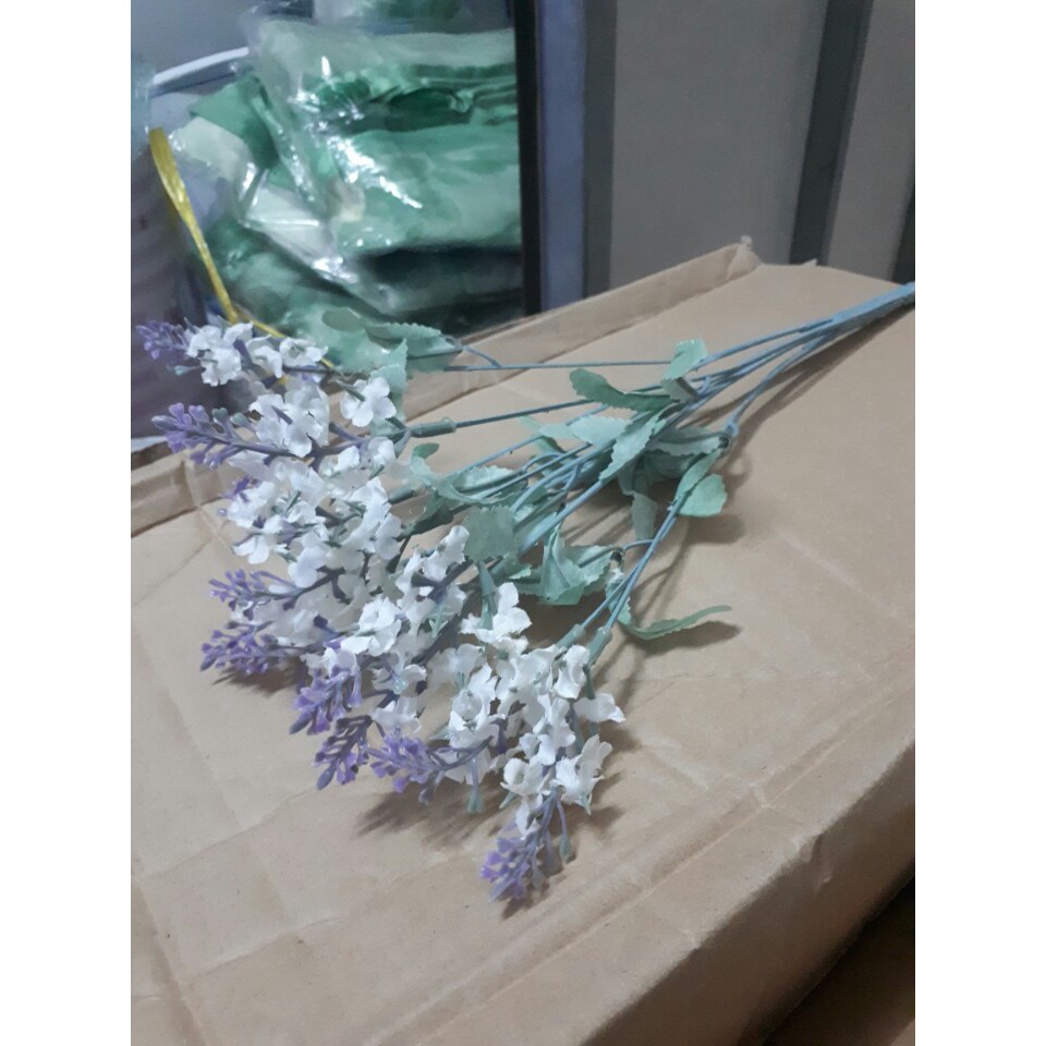 Hoa giả - Hoa lavender