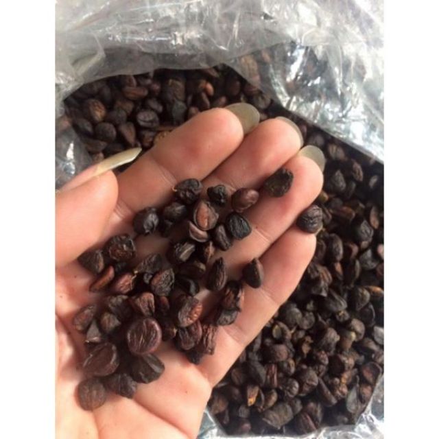 50g - 100g hạt dổi rừng