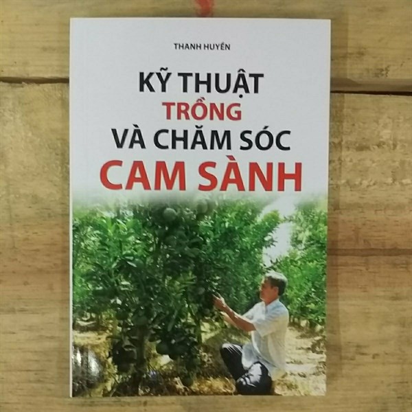 Kỹ Thuật Trồng Và Chăm Sóc Cam Sành (Ml_16) 548101