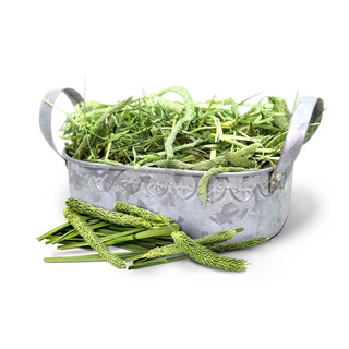 Cỏ Timothy cho thỏ 500g