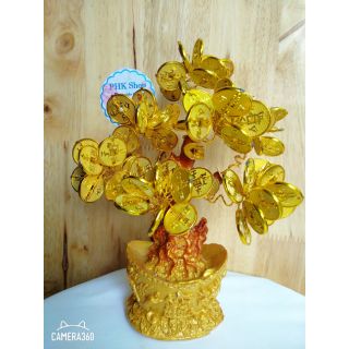 CÂY HOA  ĐỒNG TIỀN CHIÊU TÀI LỘC PHK SHOP