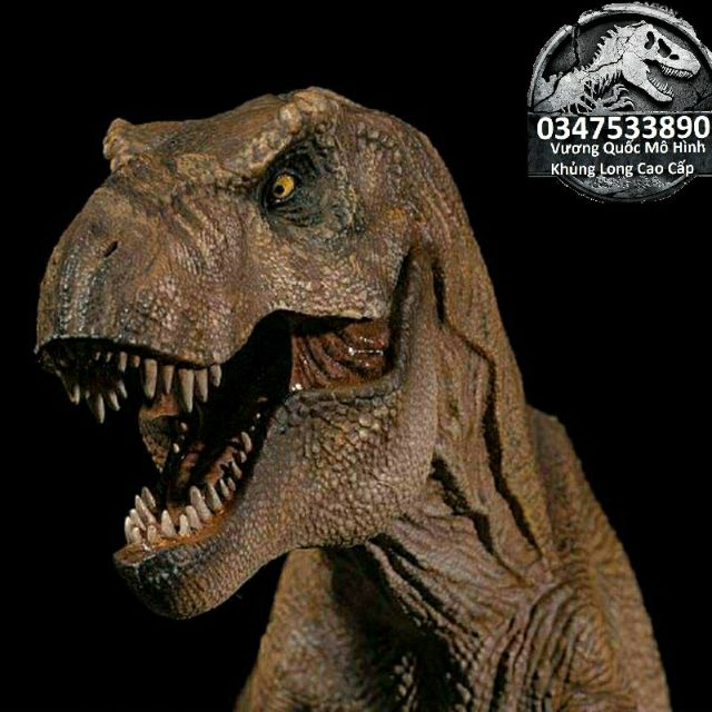 Mô hình khủng long T-Rex hãng W-Dragon
