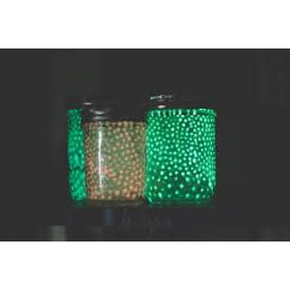 com bo 2 lọ bột dạ quang 13 g  ( tặng que vẽ, cọ vẽ )