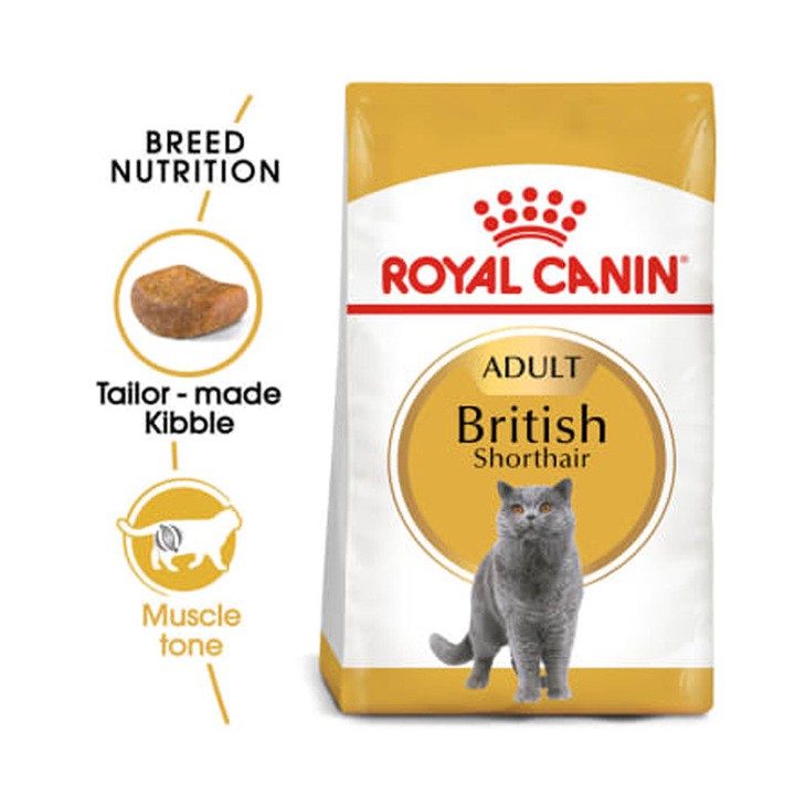 Thức ăn cho mèo anh lông ngắn trưởng thành Royal Canin British Shorthair Adult túi 2kg