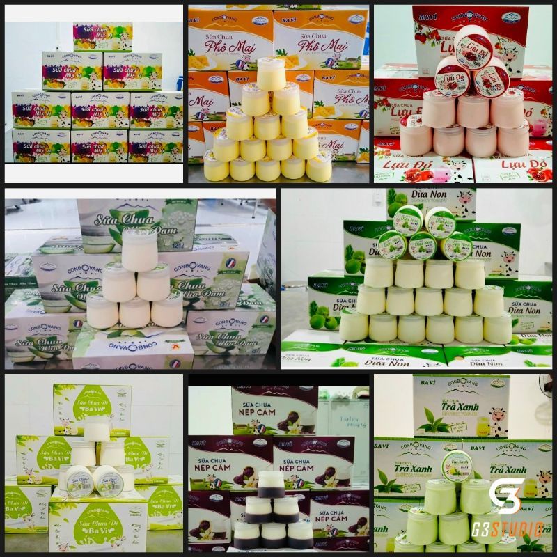 Thùng 12 hộp sữa chua Ba vì các vị nếp cẩm/ dừa non/ nha đam/lựu đỏ/phô mai/dê/mix vị/caramen Con bò vàng Ba Vì