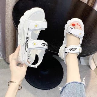 Sandan đế bánh mì 5P hoa cúc