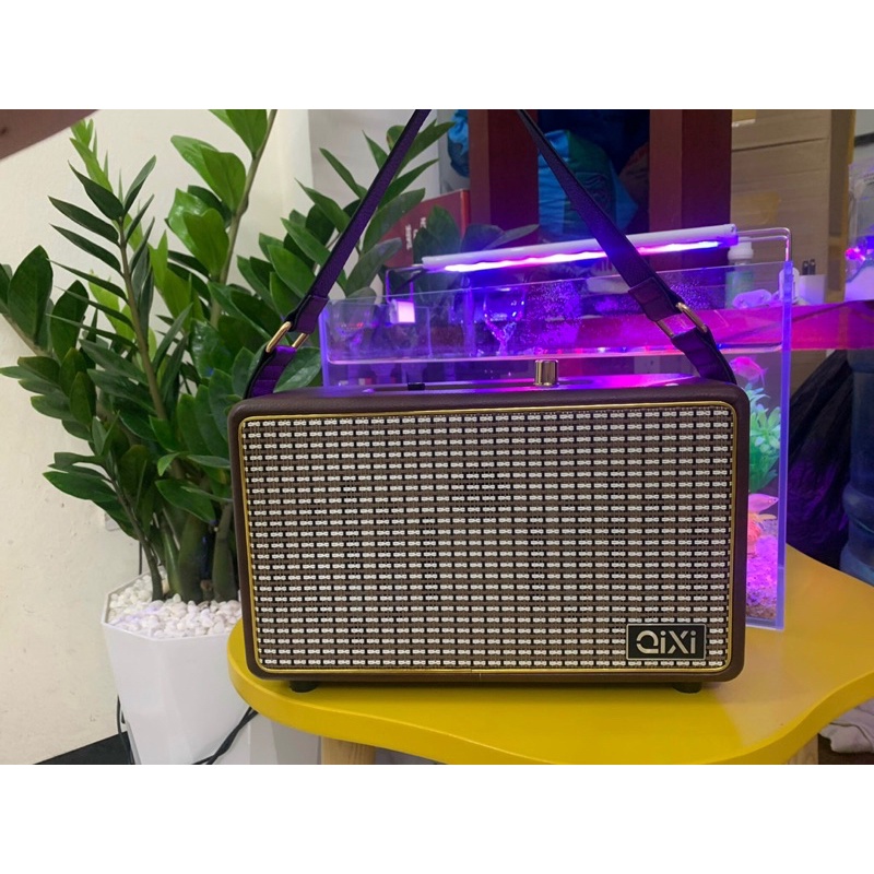 Loa Bluetooth Qixi SK-2025 Âm Thanh Siêu Đỉnh Tích Hợp Cổng Micro 6.5 Karaoke Micro Không Dây BH 12 tháng