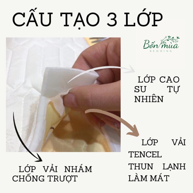 Chiếu Điều Hoà Cao Su Non [TENCEL LATEX DÀY] hoạ tiết 5D cao cấp, kích thước m6/ m8/ 2m2 - nhập khẩu LOẠI 1, có ảnh thật