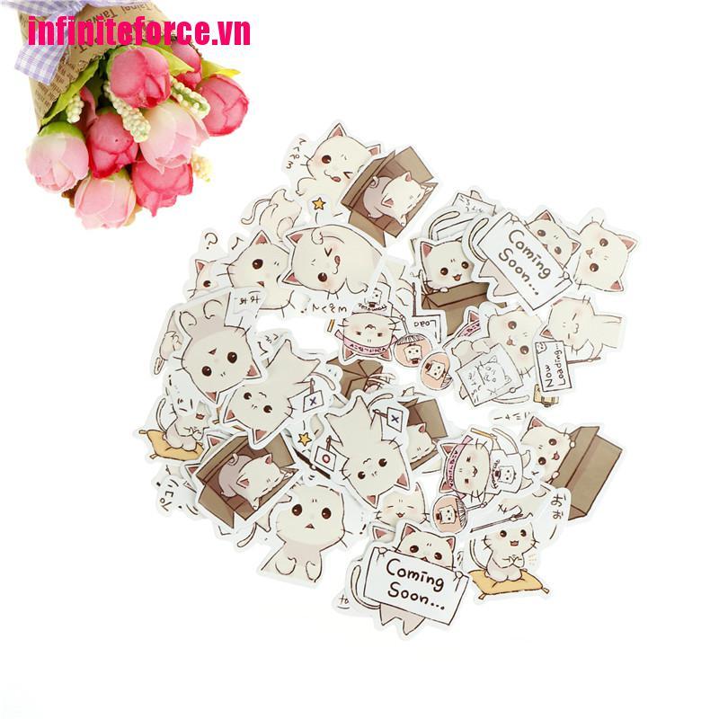 Bộ 45 Chú Mèo Dễ Thương Dùng Trang Trí