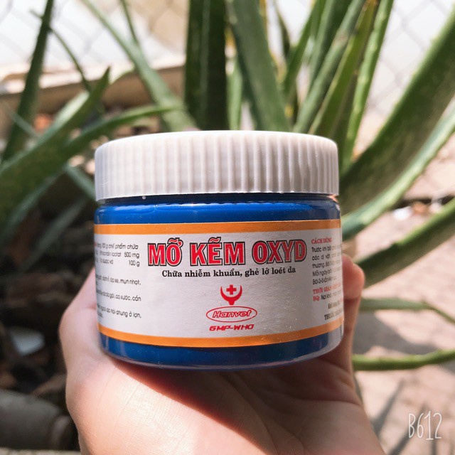 Mỡ Kẽm bôi vết thương, ghẻ ngứa, viêm nhiễm ngoài da cho chó mèo - Mỡ kẽm Oxyd Hanvet.