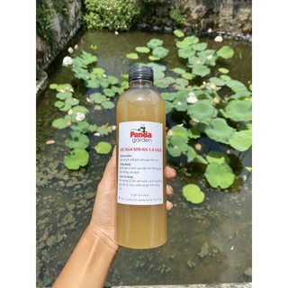 Dung dịch phân bón sinh học E.M chuối (thần dược cho sen đá)