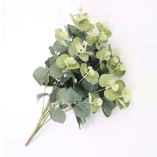 1 cụm lá táo