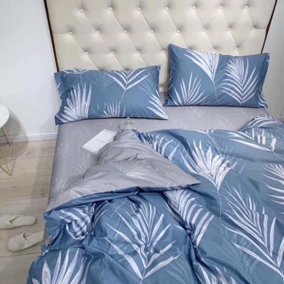 Vỏ drap cotton lụa Hàn Quốc