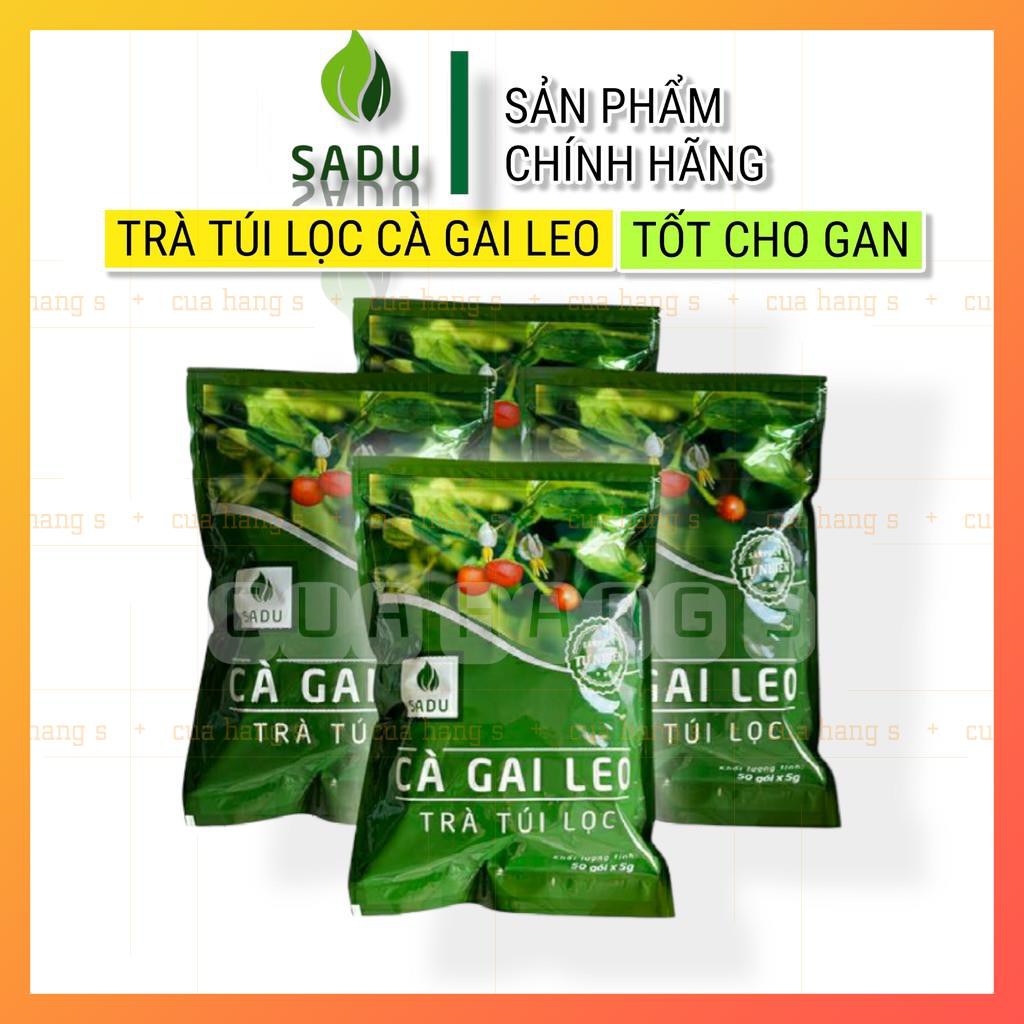 Trà túi lọc Cà Gai Leo SADU 250g hỗ trợ điều trị về gan (ATTP)