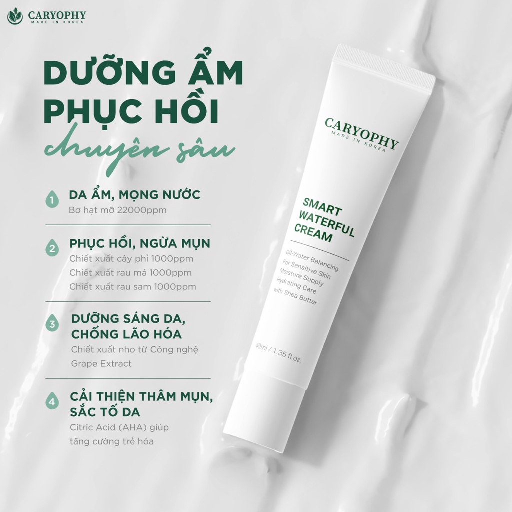 Kem Dưỡng Ẩm Cấp Nước và Phục Hồi Da Mụn Caryophy Smart Waterful Cream 40ml