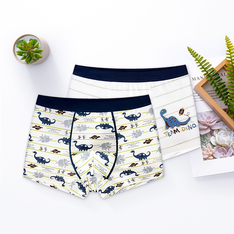 Bộ 2 Quần Lót Boxer Cotton Cho Bé Trai