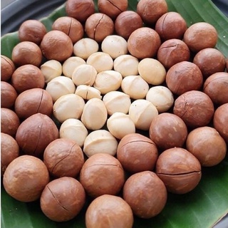 hạt Mắc Ca dinh dưỡng 500g